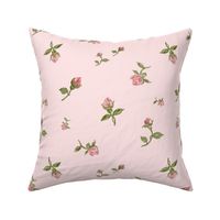 Scattered Vintage Rosebuds - Ballet pink, large 