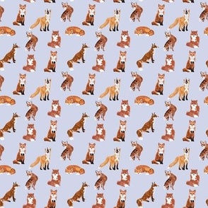Foxes 