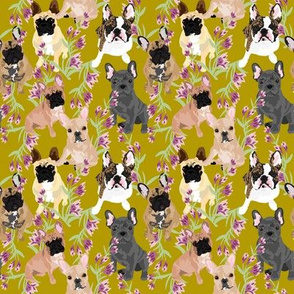 frenchie-floral-mustard