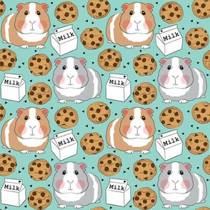 medium guinea pigs with milk and cookies