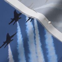 Blue Angels F-18 Jet Airplanes~ 5" Repeat