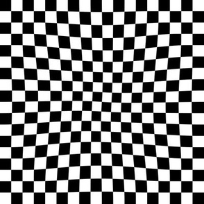 checker_race_flag_bw_concave