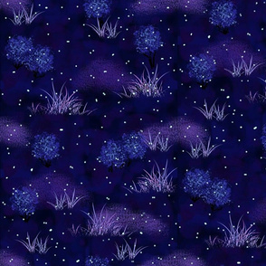 Bioluminescence Fireflies at Night