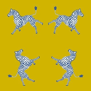 small scale zebra-gold-blues