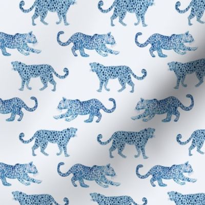 Small scale leopard-paradeblue-on-white