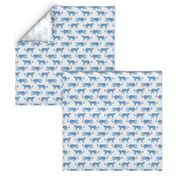 Small scale leopard-paradeblue-on-white