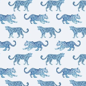 Small scale leopard-paradeblue-on-white