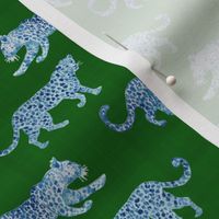 small scale leopard-paradeblue-on-green