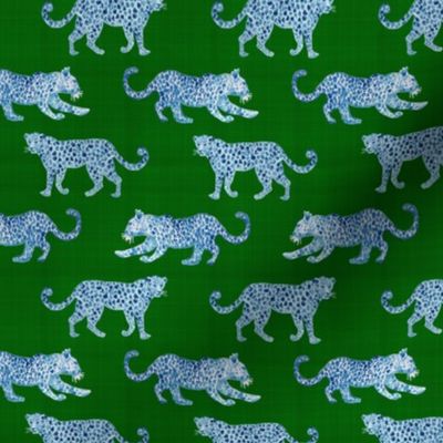 small scale leopard-paradeblue-on-green