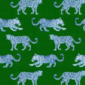 small scale leopard-paradeblue-on-green