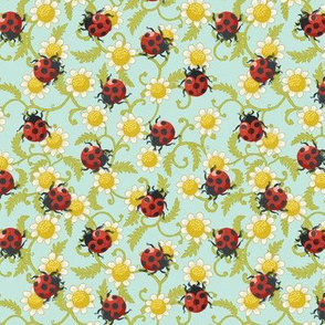 (Small)Ladybirds on Daisies