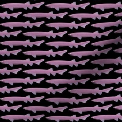 Frilled Shark pinks on black