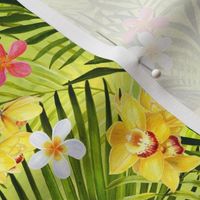 Tropical Flowers and Palms