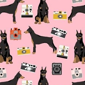 doberman camera fabric - vintage cameras and dogs design - pink