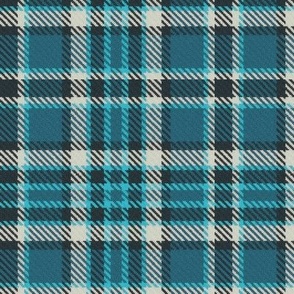 Teal and Turquoise Shadow Plaid 12 inch