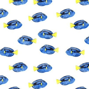 palette surgeonfish - blue tang - tropical fish - Paracanthurus - watercolor - LAD20