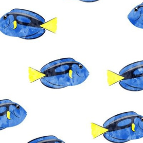 (large scale) palette surgeonfish - blue tang - tropical fish - Paracanthurus - watercolor - LAD20