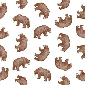  Antique Bears in Walnut Brown with White Background