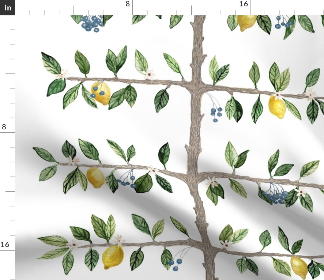 White Lemon Espalier Branch