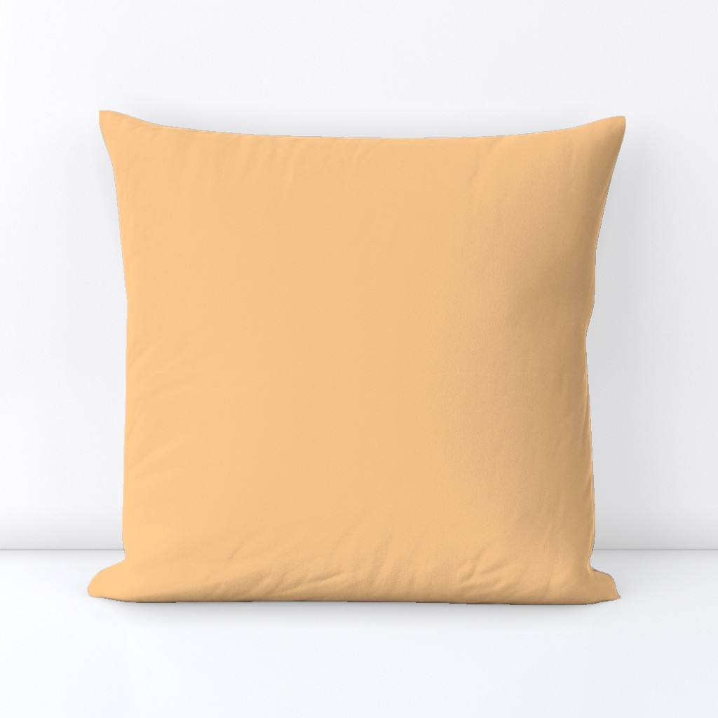 Satin Pillow Solid Coordinate