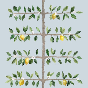 Soft Blue Lemon Espalier Branch