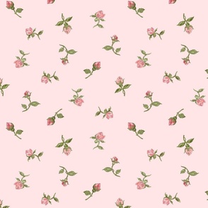 Floating Vintage Rosebuds #1 - ballet pink, large 