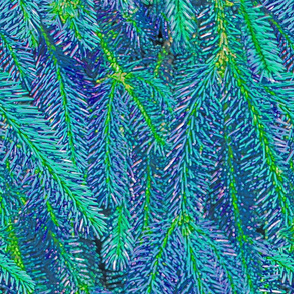 Blue and Green Pine Needles