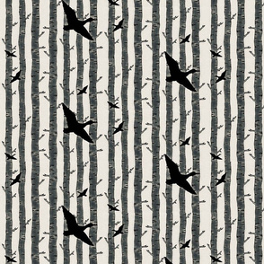 Birch Ducks Black Gray