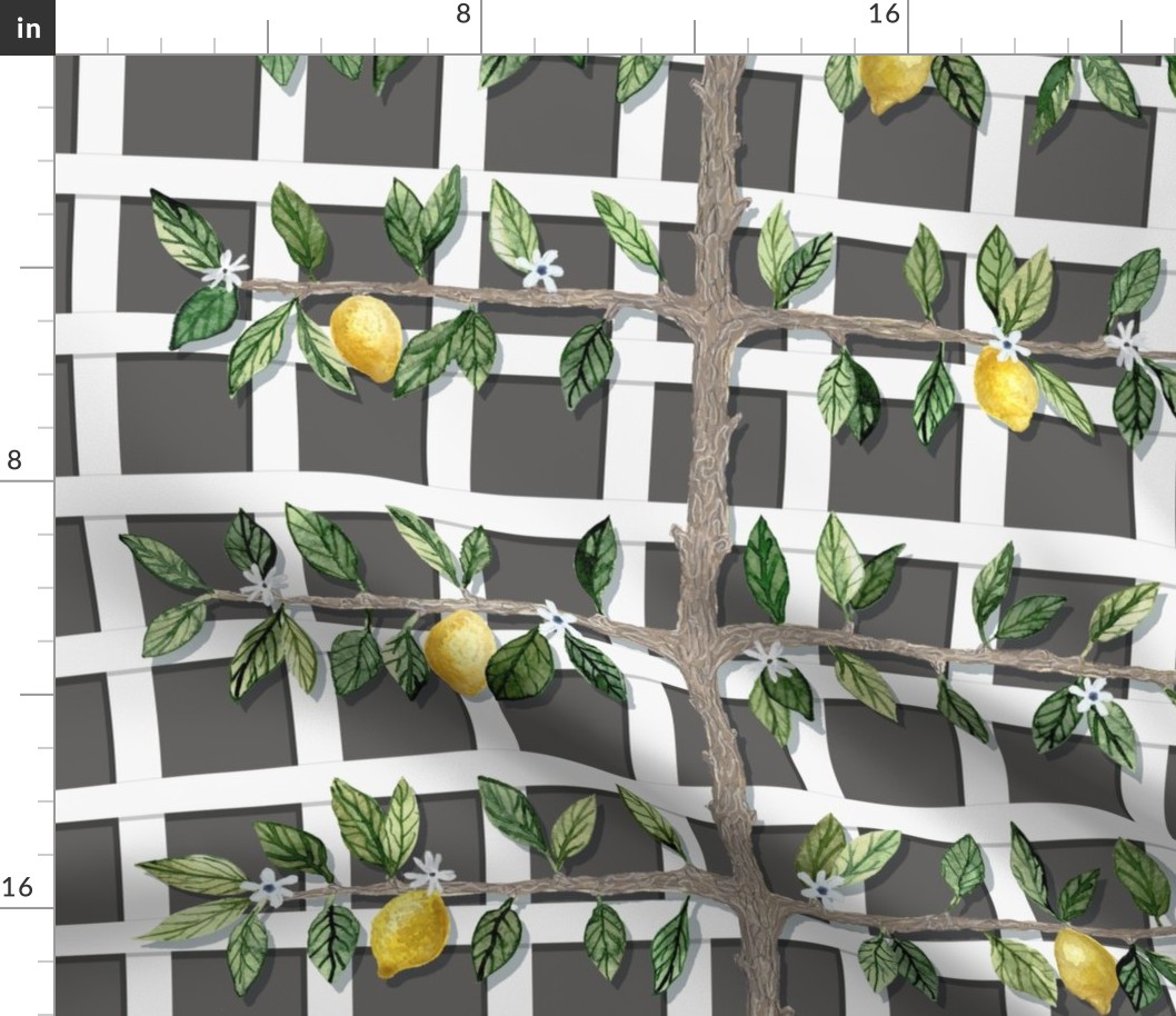 Black Trellis and Lemon Espalier Branch