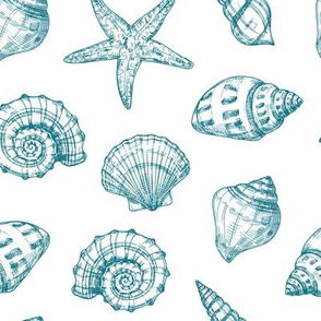 Summer Fabric Drawn Sea Shells Seafoam Teal