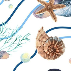 Sea Shells, Shells, Summer Fabric Oyster Shells-01