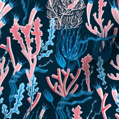 Summer Fabric Coral Ocean Coral Sea Shells on Dark Blue