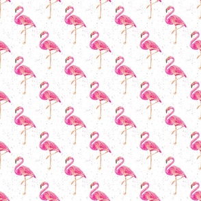 Flamingo | Watercolor