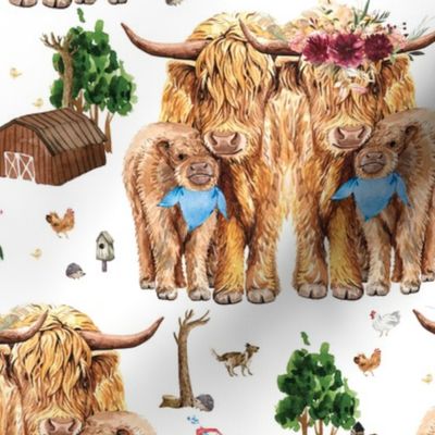 Highland cattle, mom dad and twin boys with bandanas