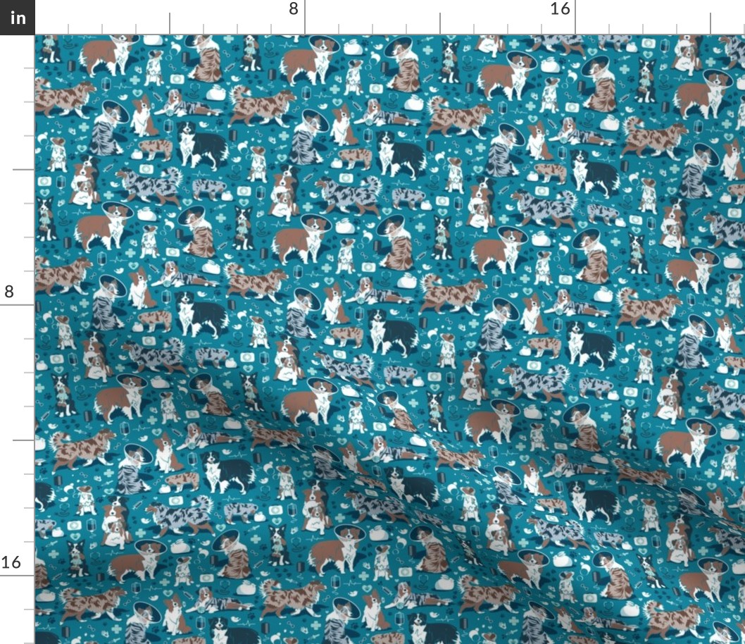 Tiny scale // VET medicine happy and healthy Aussie friends // turquoise background aqua details navy blue white and brown Australian Shepherds dogs