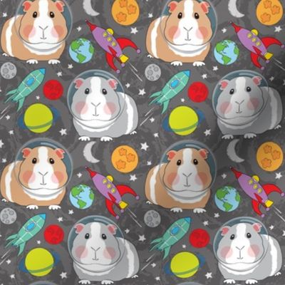 medium guinea pigs in space