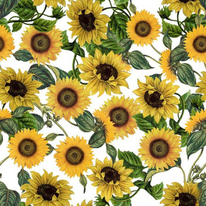 14" Sunflowers forever  - Sunflowers fabric ,sunflower fabric