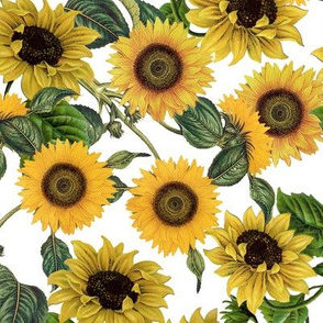 12" Sunflowers forever  - Sunflowers fabric ,sunflower fabric