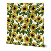 14" Sunflowers on White