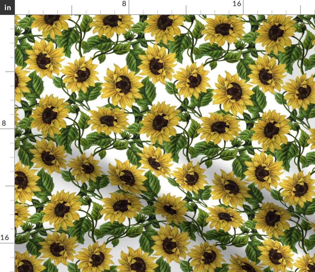 14" Sunflowers on White