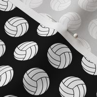 Volleyball Balls in Black & White (Mini Scale)