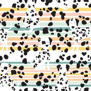 Dalmatian spots- rainbow stripe