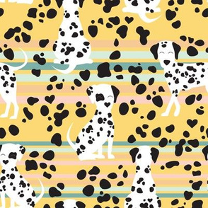 Dalmatian spots- yellow rainbow