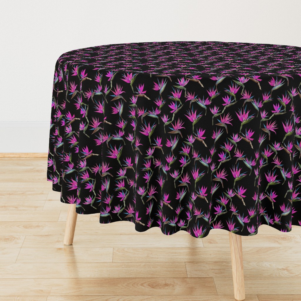 Pianted Bird Fuchsia-Black