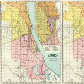 Vintage Chicago Railroad Map