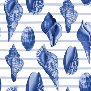 Vintage Sea Shells Blue White