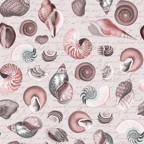 Vintage Shells Pastel Pink