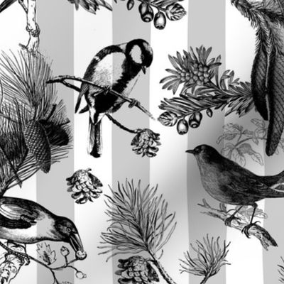 Monochrome Winter Birds Pattern