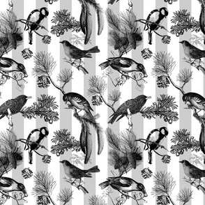 Monochrome Winter Birds Pattern