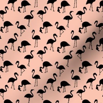 Flamingo Paradise - Summer Island Black on Coral SS